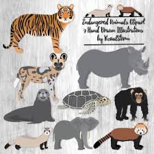 Endangered Animals Clipart 9 Hand Drawn Wild Endangered Animal Species Animal Clipart Endangered Animals Animal Species