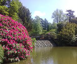 Check spelling or type a new query. Seasonal Gardening May General Gardening Tasks