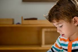 American Montessori Society: Most Popular