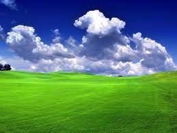Maybe you would like to learn more about one of these? Windows Grass Wallpapers Group 66