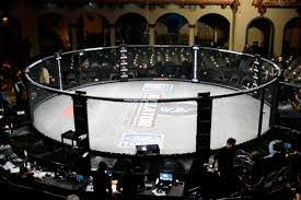 Bellator mma decides to postpone bellator 241 event in connecticut, but new date unclear check out my interview with bellator bantamweight keith lee recapping his recent win, possibly being a. Are Pride Vs Ufc Threads Allowed Page 2 Sherdog Forums Ufc Mma Boxing Discussion
