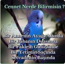 Hasan Akgul Adli Kullanicinin Dualar Panosundaki Pin Inanc Ozlu Sozler Guzel Soz