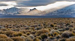 Download 2,343 argentina nature stock illustrations, vectors & clipart for free or amazingly low rates! The Nature Conservancy In Argentina