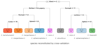 Image result for Cyperus margaritaceus