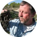 Do Hummingbirds Actually Sleep?