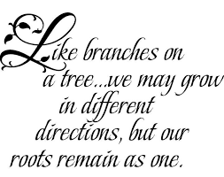 Family Roots Decal Family Tree Quotes Sister Quotes Roots Quotes