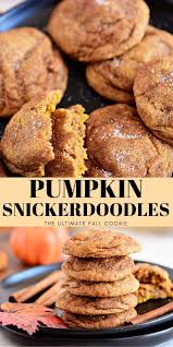 Pumpkin Snickerdoodles Recipe Pumpkin Snickerdoodles Snickerdoodle Recipe Chocolate Cookies Easy