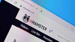 Free Porn Videos Sex Tube Xhamster