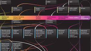 This Graphic Maps The Whole Spectrum Of Sex And Its Way