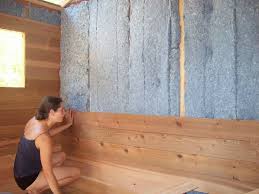 Lap Siding On Interior Walls Google Search Tiny House Camper Tiny Mobile House Tiny House