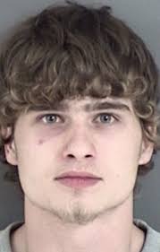 POLICE REPORTS: Dogs thought to be killing puppy were only playing with  dead raccoon