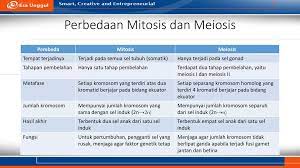 Namun secara garis besar, sel yang membelah dengan meiosis akan melalui 9 tahap, yang terbagi dalam 2 rangkaian, yaitu meiosis 1 dan meiosis 2. Materi Genetik Dan Proses Pembelahan Sel Ppt Download