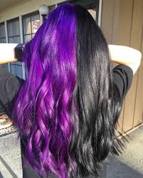 22 beautiful purple hair color ideas — purple hair dye. Pixelated Bukkake On Twitter Indoor Vs Outdoor Jelly Purple Black Split