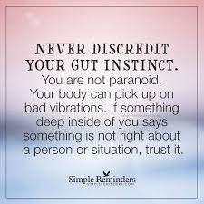 Quotes About Wisdom Never Discredit Your Gut Instinct By Unknown Author Quotess Bringing You The Best Creative Stories From Around The World