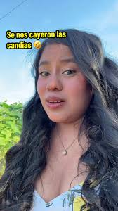 Divertidas Aventuras de la Familia Hudson