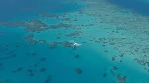 A Gif Guide To Cairns And The Great Barrier Reef Great Barrier Reef Adventure Travel Tools