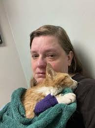 Loss of a beloved 18-year-old cat to cancer