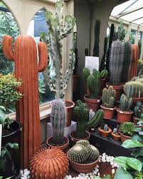 Instagram Photo By Estee Lalonde Jun 8 2016 At 2 07pm Utc Cactus Plants Plants Are Friends Succulents A cactus is a crop introduced in the november 20, 2020 update. pinterest