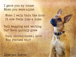 Who Rescued Who Dog Poems Rescue Dogs Dog Love