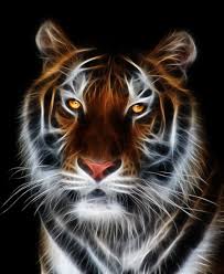 Glowing Tiger Cross Stitch Mock Up Animals Tiger Art Animal Wallpaper