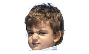 Inclusive Ideology as Institutional Neglect