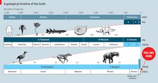 Refer to the following image to understand the timeline of this era, depending on the variation of. Cretaceous Paleogene Extinction Event Simotron