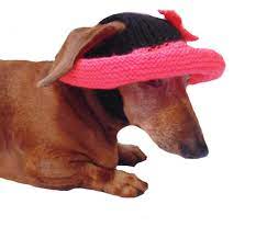 Summer Knitted Hat For Dogs Panama For Dogs Hat For Dogs Etsy Dog Hat Dog Clothes Summer Hats