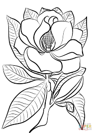 Get sample codes, similar colors and more in this page. Pin On Images Personal Use Public Domain
