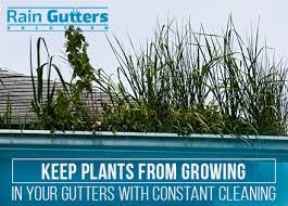 Learn how to clean gutters to keep rain runoff away from your home. Why A Rain Gutter Cleaning Service Is Necessary Even If You Don T Have Trees Surrounding Your Home