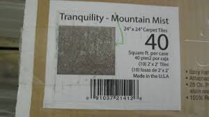 Residential peel and stick carpet tiles 10 (tiles/case) Simply Seamless Tranquility Mountai Flooring Extravaganza Tile Laminate Specialty Decorator More K Bid