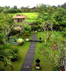Jardin Bali Bing Images Jardin Tropical Jardins Jardin Paysager