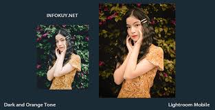 Penggunaan rumus lightroom dark ini bisa kalian aplikasikan untuk berbagai jenis objek foto. 2 Rumus Lightroom Dark And Orange Free Preset Dark Infokuy