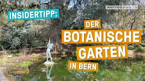 Eine weltreise im kleinen erwartet die besucher des botanischen gartens bern. Botanischer Garten In Bern Youtube