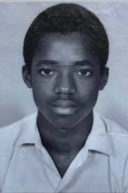 Mary Frances Fields RN,MSN,CCM