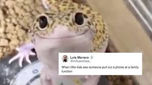 A Video Of A Very Polite Lizard Is The Cutest New Meme Cute Lizard Lizard Lizard Meme