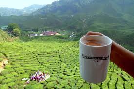 Vlog malaysia cameron valley vs ladang teh sungai palas cameron highlands malaysia the khainis. Tempat Untuk Dilawati Di Cameron Highland Tripcarte Asia