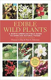 In my region here in belgium we are also growing some edibles. Edible Wild Plants A North American Field Guide To Over 200 Natural Foods Elias Thomas Dykeman Peter 9781402767159 Amazon Com Books
