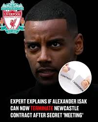 This is called an expert🤣🤣🤣 📧 💙 🏒 👆 🦁 🐜 #FinancialFascination  #MaternalLiesExposed #MarriageMoney #BetrayedByBlood