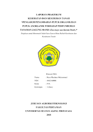 Konversi dokumen word ke pdf persis seperti file word asli. Doc Laporan Praktikum Kesehatan Dan Kesuburan Tanah Pengaruh Penambahan Pupuk Organik Dan Pupuk Anorganik Terhadap Pertumbuhan Tanaman Jagung Manis Zea Mays Saccharata Sturt Reza Maulana Muhammad Academia Edu