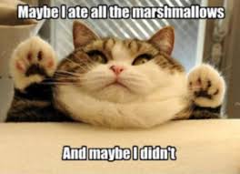I wouldn't think it would be bad for her, but are there any good reasons to keep her from in the sources i've included a link to a fairly extensive list of things cats shouldn't eat because they're toxic as well as a list of ingredients in marshmallows. Marshmallow Test Dictionary Com