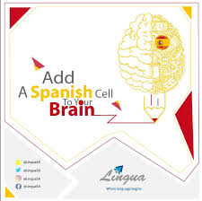 Lingua Sa Linguasa Twitter