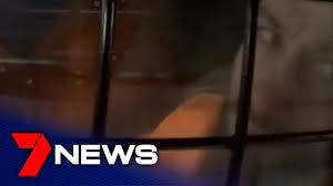 Bassam hamzy charged with perverting justice in relation to murder of brayden dillon. High Security Operation As Convicted Killer Bassam Hamzy Fronts Court 7news Youtube