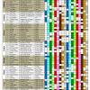 All civilizations in age of empires ii have a counter to them! 1