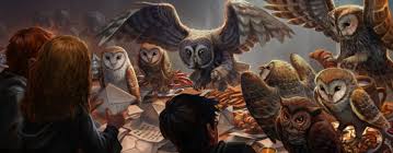 Harry potter is one of the most popular series of books that also got made into movies. Owls Wizarding World