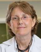 Presentations, Events, Lectures & Workshops