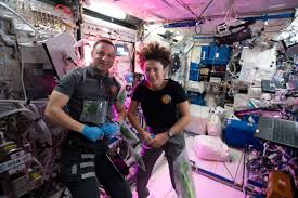 Jessica meir astronaut (nasa johnson space center) houston, texas, united states 353 connections. Jessica Meir And Drew Morgan S Scientific Journeys Aboard Station Nasa