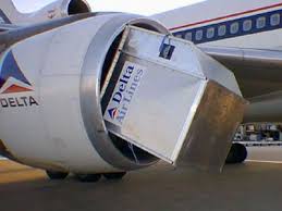 Delta Airlines Pet Travel Requirements And Restrictions Aviation Accidents Aviation Aviation Humor