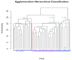 Image result for Harpachne schimperi
