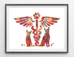 Veterinary Clinic Symbol Watercolor Print Veterinary Caduceus Etsy Veterinary Clinic Dog Illustration Pet Clinic
