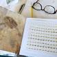 Natural Dye Study Group - Spring 2026